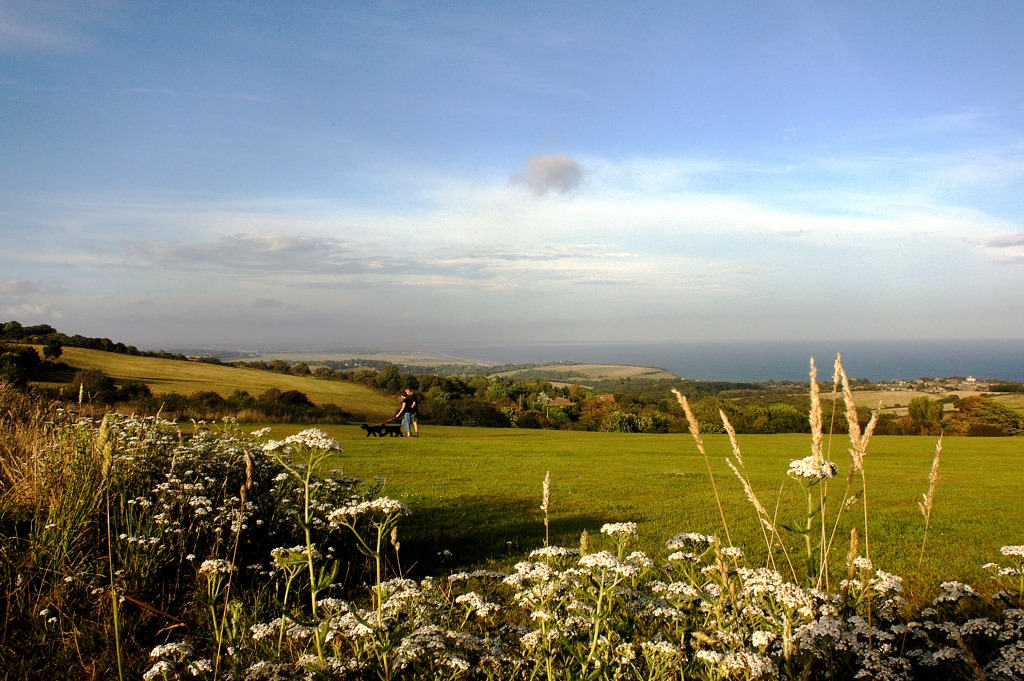 Views over the English Channel and Fairlight from the Country Park Nature Reserve. (pic Steve Prosser)